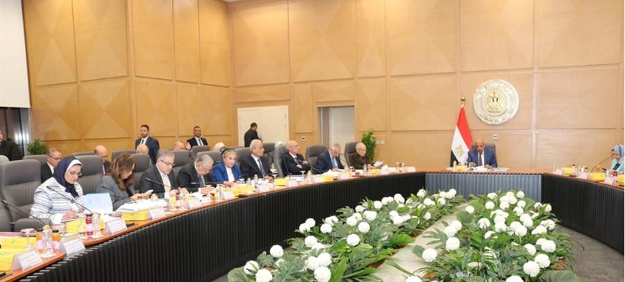 اعتماد الموازنة التخطيطية للشركة القابضة لكهرباء مصر للعام المالي 2025/2026